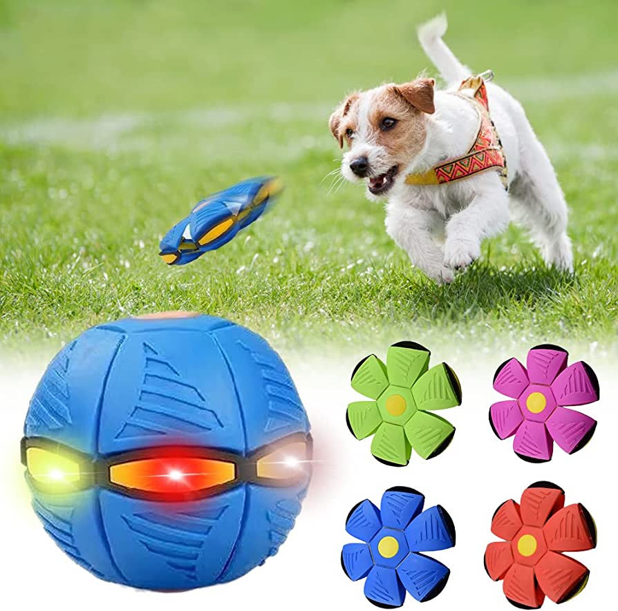 Claw & Order™ Dog Frisbee