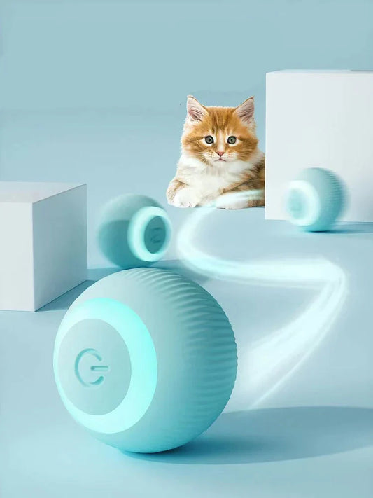 Claw & Orderβ’ Interactive Ball