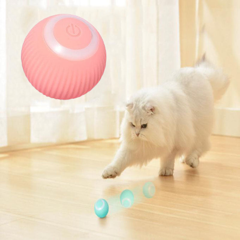 Claw & Order™ Interactive Ball