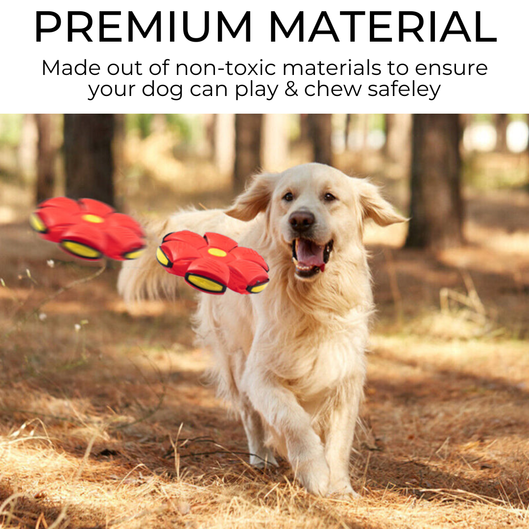 Claw & Order™ Dog Frisbee